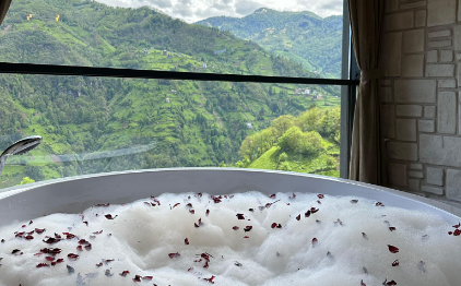 Rize Çamlıhemşinde Dağ Manzaralı Otel | 0084